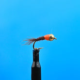 Tungsten Frenchie Hot Orange